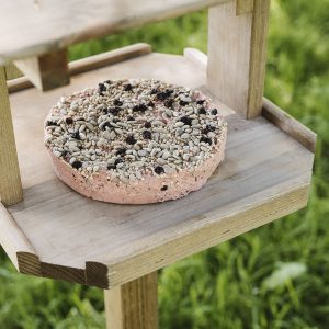 gardman berry suet cookie on bird table