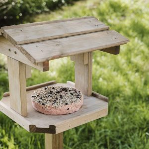 gardman berry suet cookie on bird table