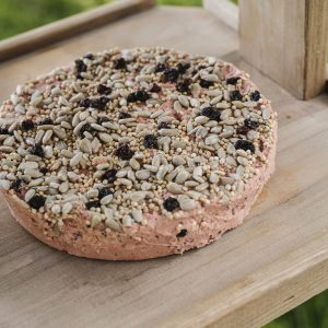 gardman berry suet cookie on bird table