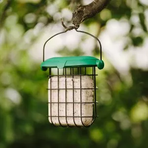 Flip Top Suet Feeder with suet cake in