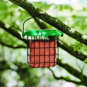 gardman berry suet treat in feeder