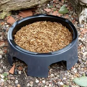 Gardman Mealworm