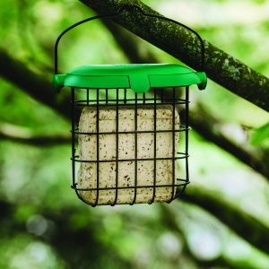 gardman peanut suet feast