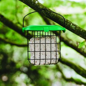 gardman seed and mealworm suet feast in feeder