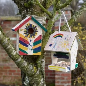 paint your own nest box