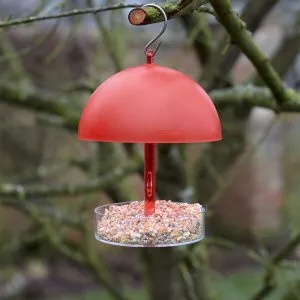 Gardman Robin and Small Bird Feeder with bird seed