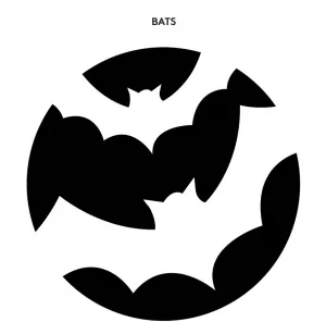 bats