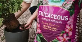 ericaceous planting mix lifestyle