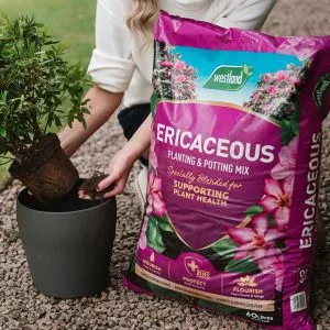 ericaceous planting mix lifestyle