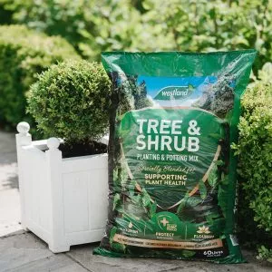 westland tree and shrub compost in use