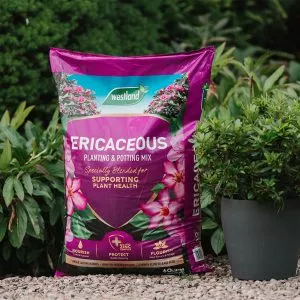ericaceous planting mix lifestyle