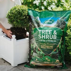 westland tree and shrub compost in use