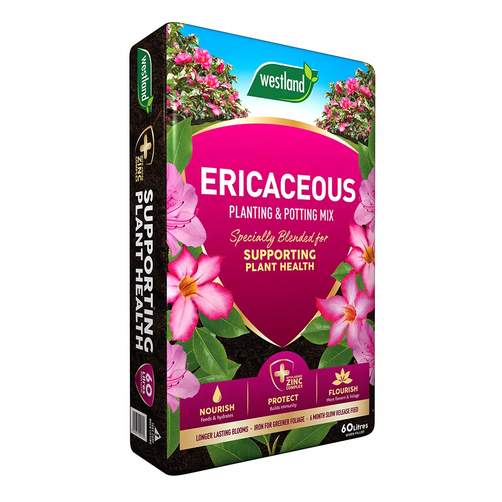 Westland Ericaceous Planting & Potting Mix