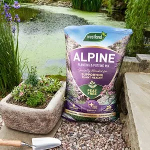 alpine planting potting mix peat free in use