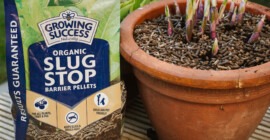 Using Growing Success Organic Slug Stop Barrier Pellets