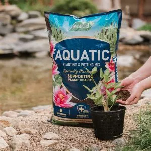 westland aquatic compost lifestyle