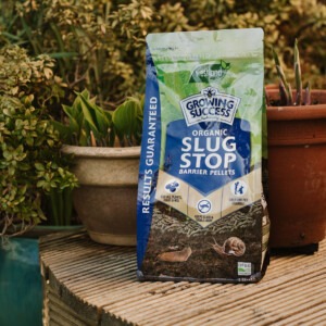 growing success slug barrier pellets bag next to hosta