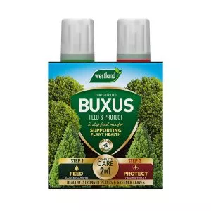 2 in 1 feed and protect buxus