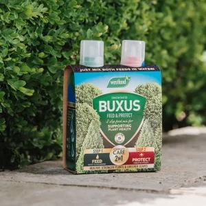 Buxus 2 in 1 Feed & Protect