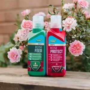 Rose 2 in 1 Feed & Protect out of pack