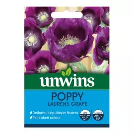 Unwins Poppy Lauren’s Grape