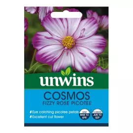 Unwins Cosmos Fizzy Rose Picotee