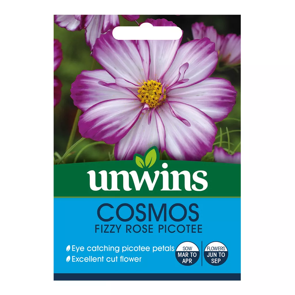 Unwins Cosmos Fizzy Rose Picotee