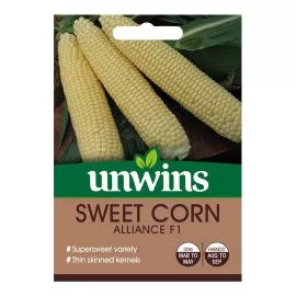 Unwins Sweet Corn Alliance F1