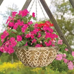 Banana Braid Hanging Basket