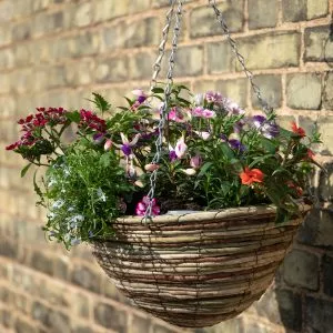 Mountain Leaves Hanging Basket