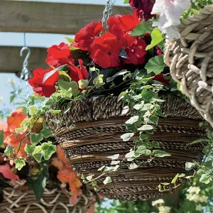 Sisal Rope and Fern Hanging Basket