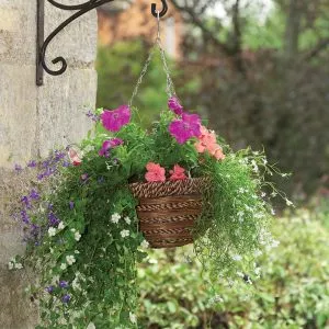 Sisal Rope and Fern Hanging Basket