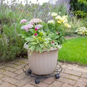 40cm Metal Pot Trolley