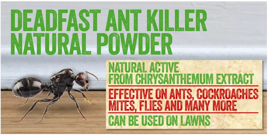 deadfast ant killer powder