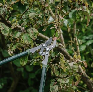 gardeners mate anvil loppers close up