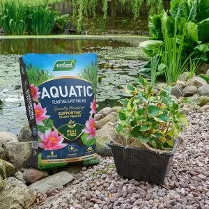 aquatic peat free planting potting mix lifestyle