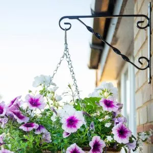 Black Hanging Basket Bracket