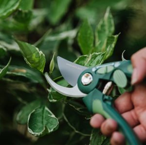 Gardener's Mate Bypass Secateurs close up