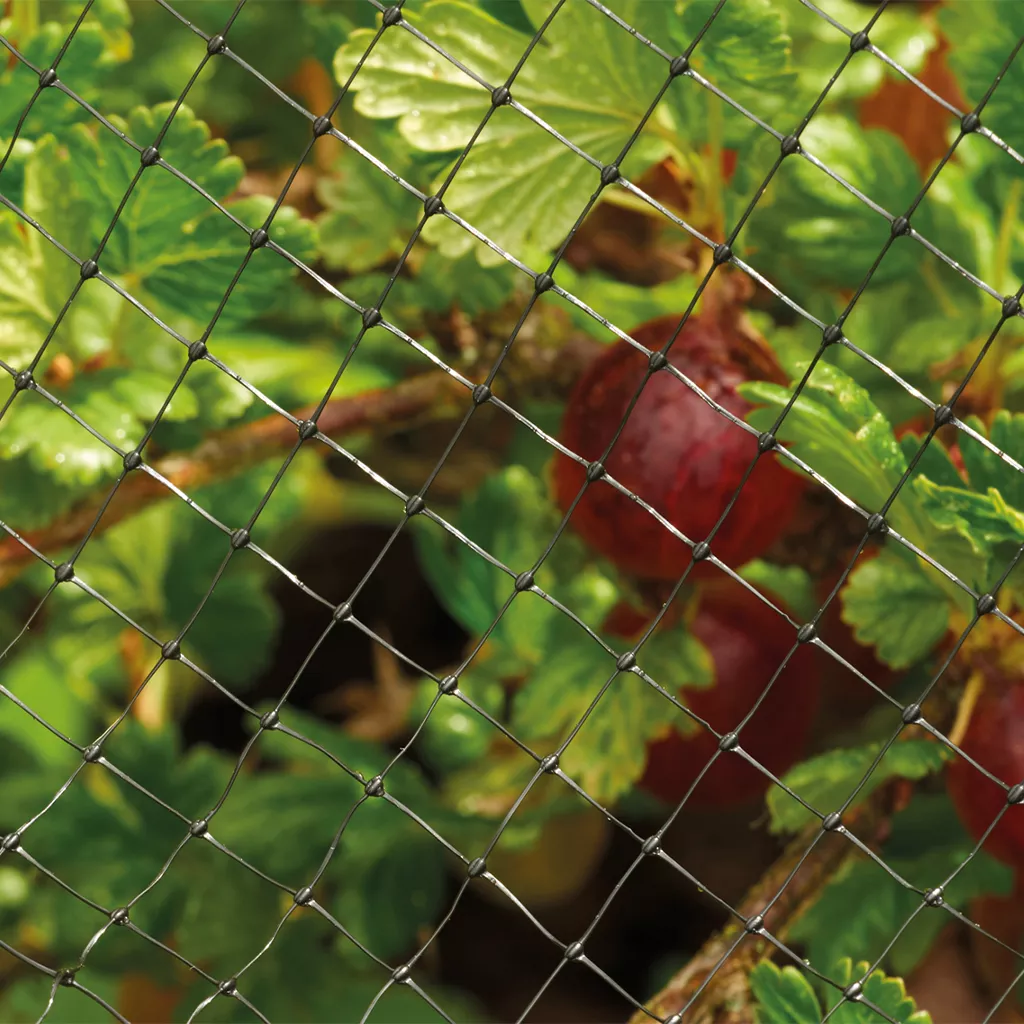 crop and pond netting in use