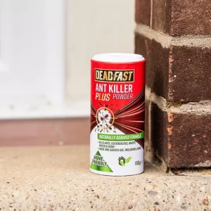 Deadfast Ant Killer Plus Powder on doorstep