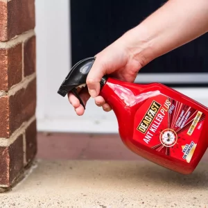 Deadfast Ant Killer Plus Spray in use