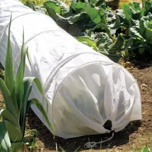 fleece grow tunnel over crops