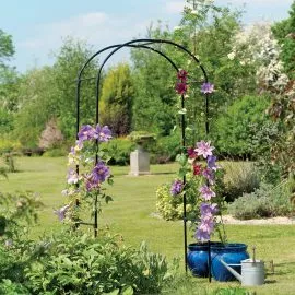 Garden Arch