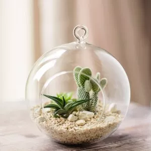 large glass globe terrarium lifestyle