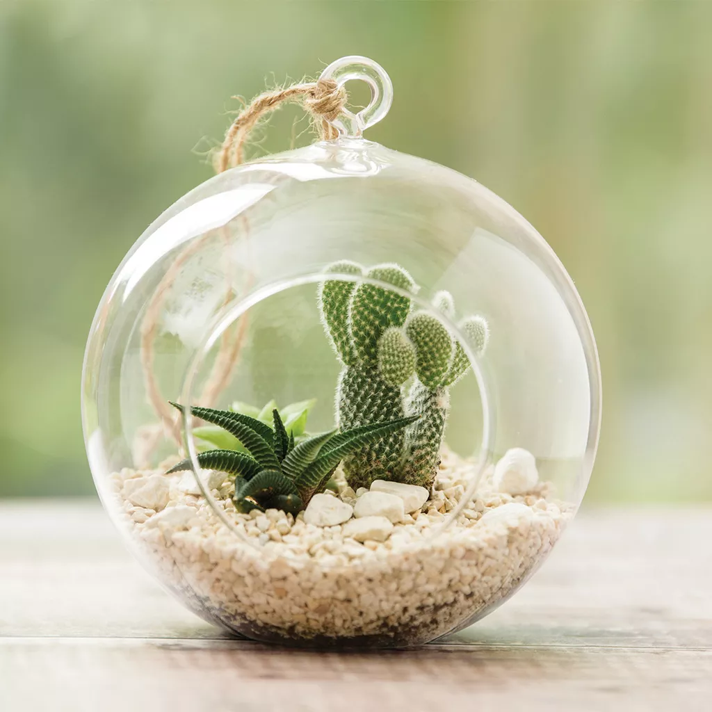 Terrarium sphere