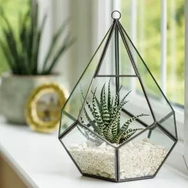 Glass Teardrop Terrarium