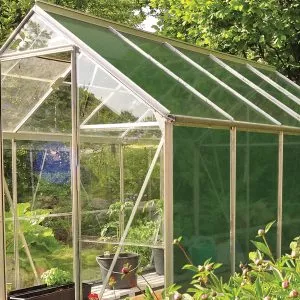 greenhouse shading on a greenhouse spring clean garden