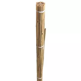 Bamboo Canes Bulk Bundle