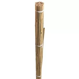 bamboo canes bulk bundle