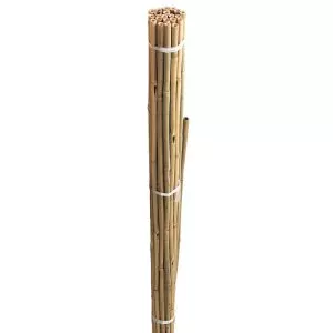 Bamboo Canes Bulk Bundle